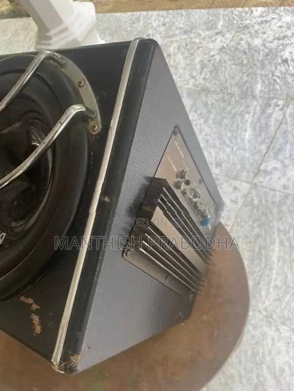 Gelong Car Subwoofer