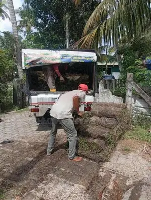 Malaysian Grass Carpet