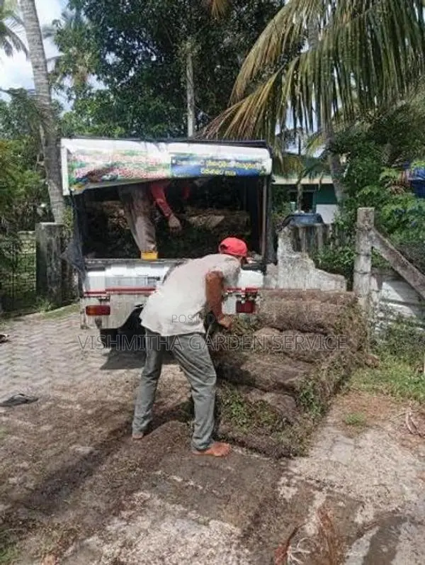 Malaysian Grass Carpet
