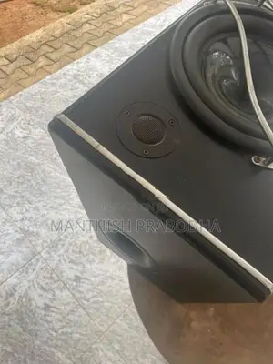 Gelong Car Subwoofer
