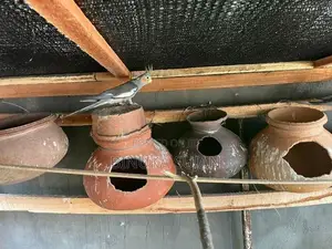 Cocktails Birds