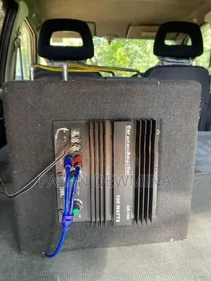 Car Subwoofer