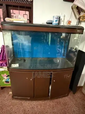Fish Tank 4 1/2 Feet