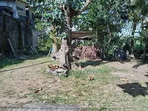 Best Land for Sale Maharagama
