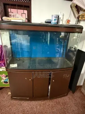 Fish Tank 4 1/2 Feet