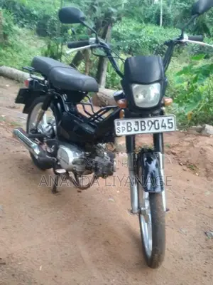 Ranomoto Safari 2021