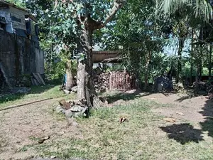 Best Land for Sale Maharagama
