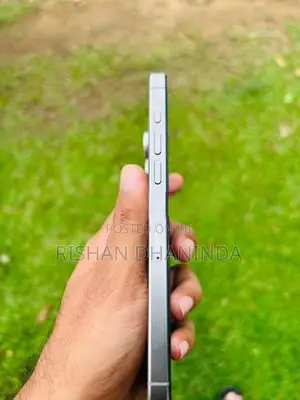 Apple iPhone 15 Pro Max 256GB (Used)