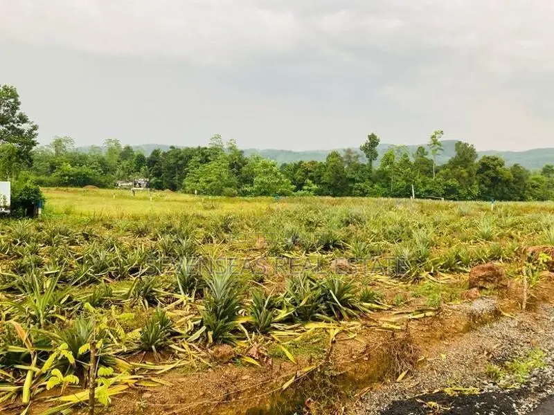 10P Residential Land Plots for Sale in Eheliyagoda