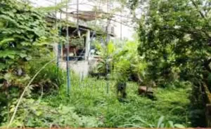 Land in Monaragala,වැල්ලවාය මොණරාගල ප්‍රධාන පාරට මුහුණලාඉඩමක් විකිණීමට