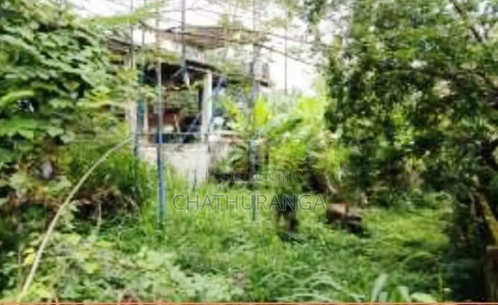 Land in Monaragala,වැල්ලවාය මොණරාගල ප්‍රධාන පාරට මුහුණලාඉඩමක් විකිණීමට