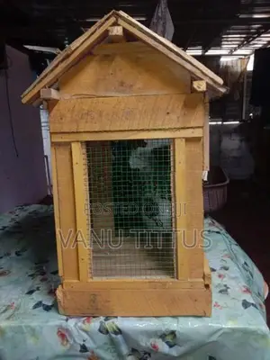 Parrot Cage
