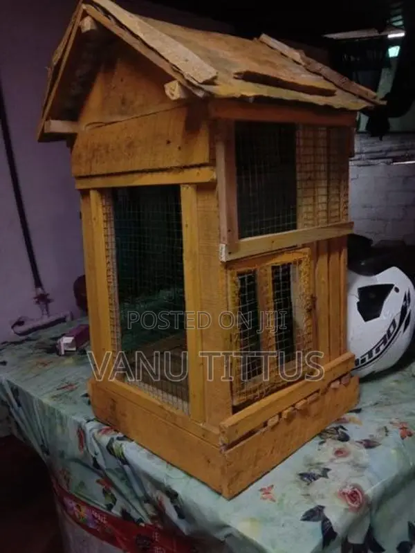 Parrot Cage