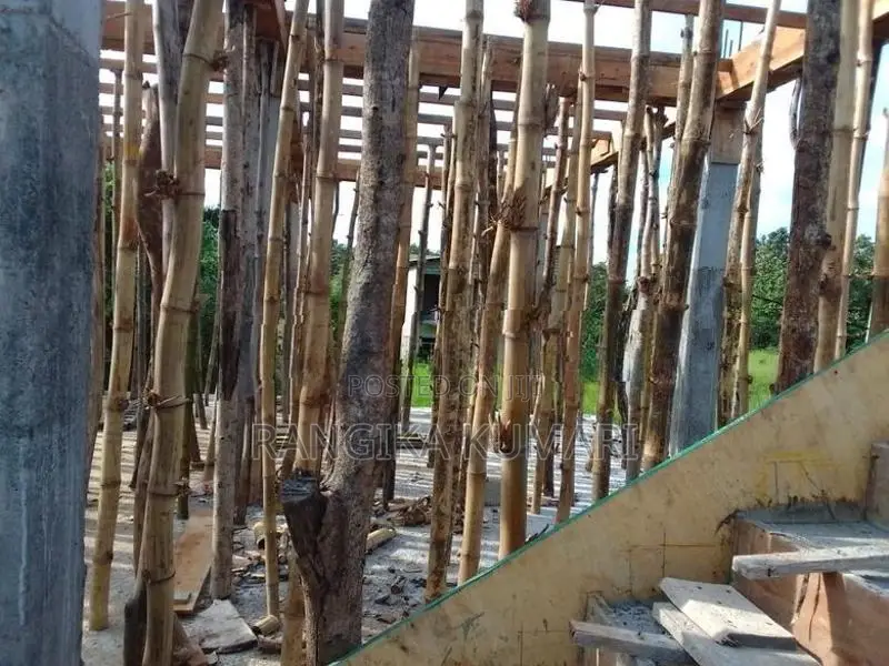 සැටලිම