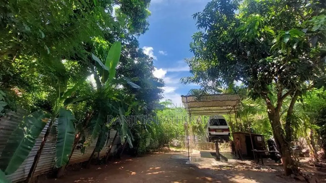 House with Land For Sale in Udawalawe
