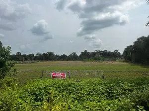Land for Sale Oddusuddan