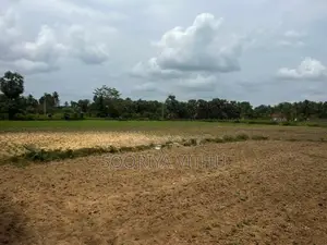 Land for Sale Oddusuddan