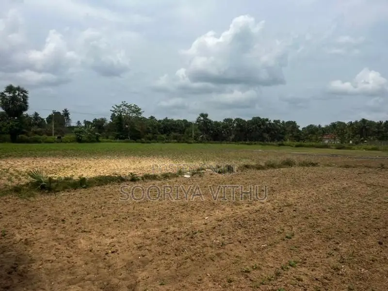 Land for Sale Oddusuddan