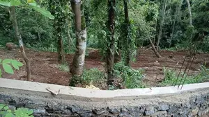 Land for Sale in Katugasthota, Kandy