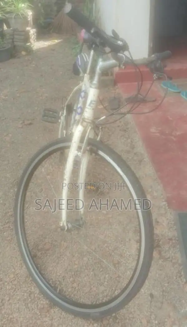 Bicycle