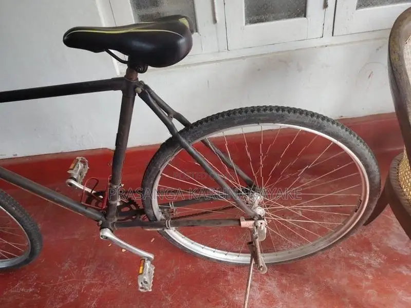 Bicycle