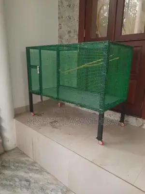 Bird Cage
