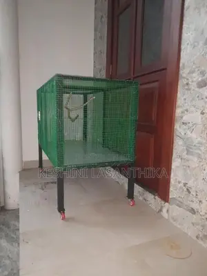 Bird Cage