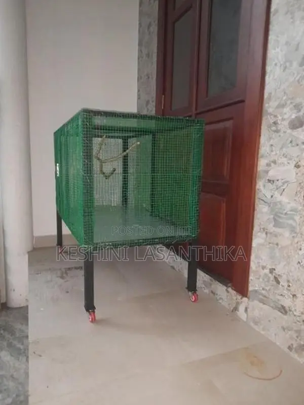 Bird Cage