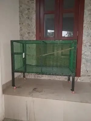 Bird Cage