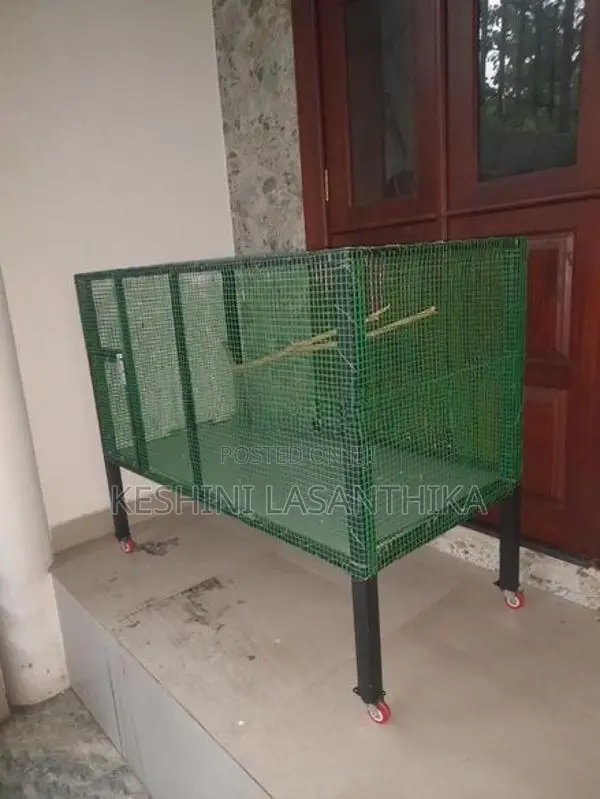 Bird Cage
