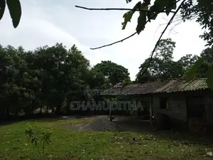 Land for Sale Hanwella