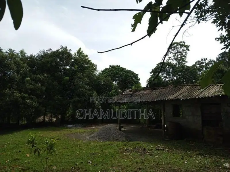 Land for Sale Hanwella