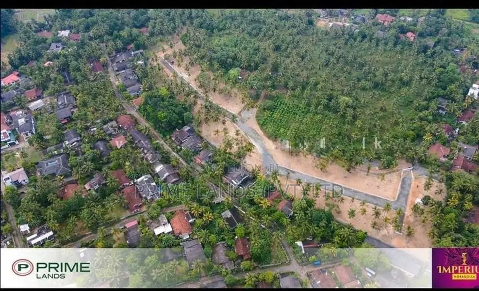 නිට්ටඹුව ඉඩමක් විකිණීමට