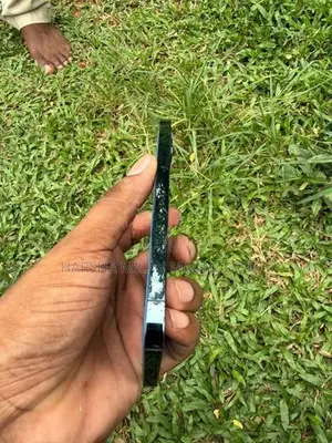 Apple iPhone 12 Pro (Used)