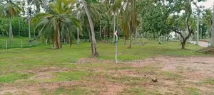 නිට්ටඹුව ඉඩමක් විකිණීමට