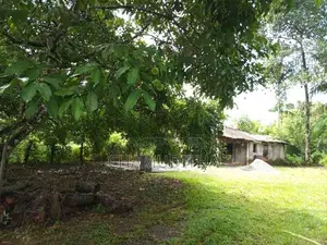 Land for Sale Hanwella