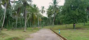 නිට්ටඹුව ඉඩමක් විකිණීමට