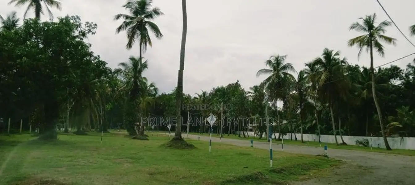 නිට්ටඹුව ඉඩමක් විකිණීමට