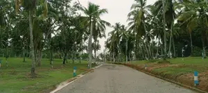 නිට්ටඹුව ඉඩමක් විකිණීමට
