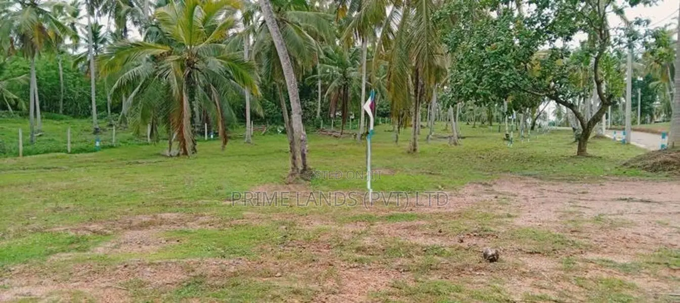 නුවර පාරට 100m දුරින් නිට්ටඹුව ඉඩමක් විකිණීමට