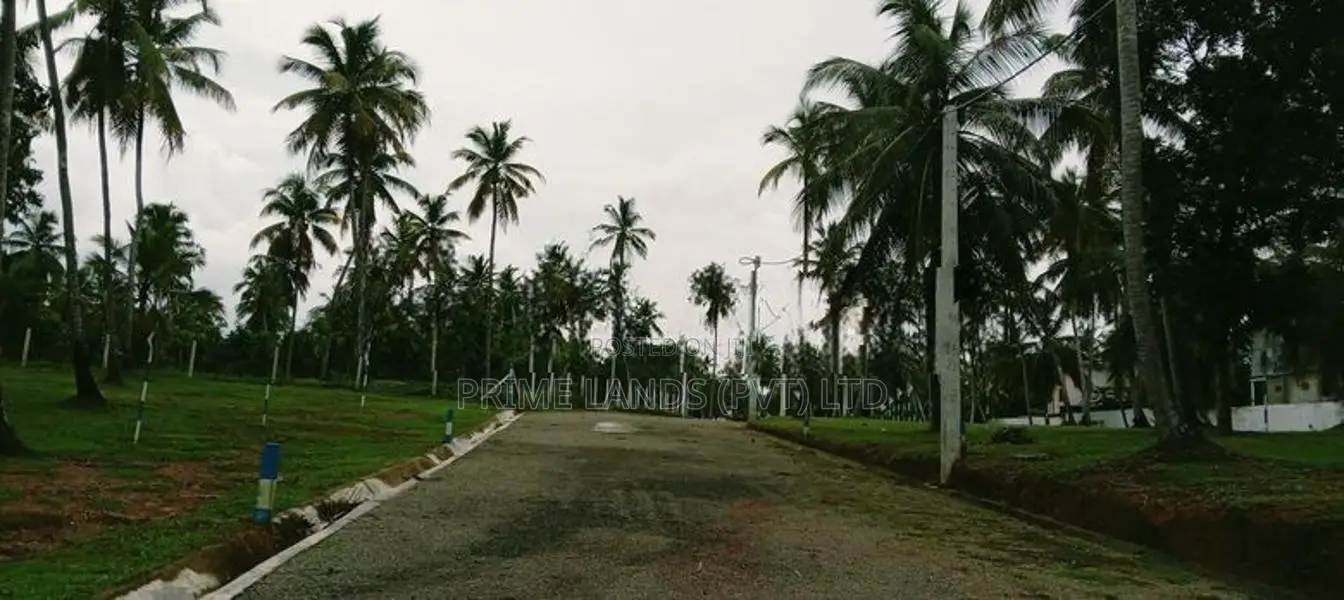 නුවර පාරට 100m දුරින් නිට්ටඹුව ඉඩමක් විකිණීමට
