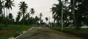 නුවර පාරට 100m දුරින් නිට්ටඹුව ඉඩමක් විකිණීමට