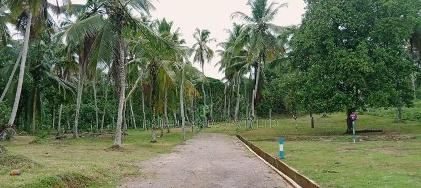 නුවර පාරට 100m දුරින් නිට්ටඹුව ඉඩමක් විකිණීමට