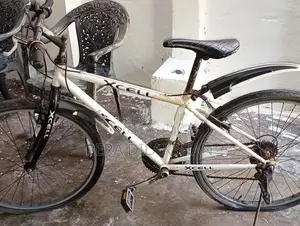Mountain Bicycle