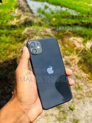 Apple iPhone 11 (Used)