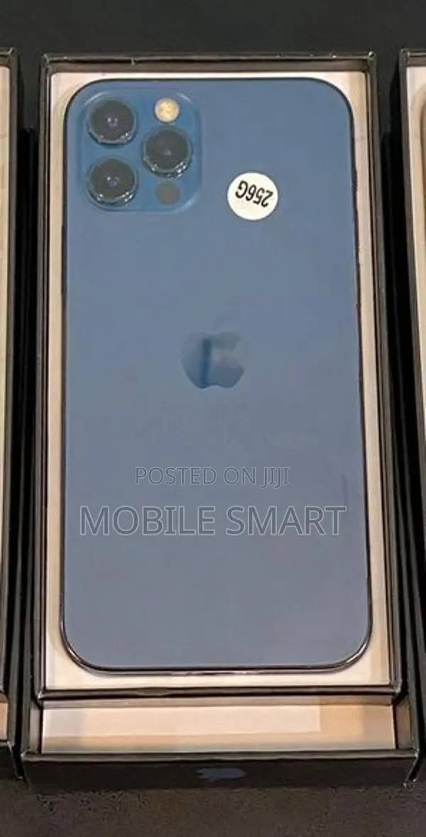 Apple iPhone 12 Pro 256GB (Used)
