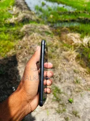 Apple iPhone 11 (Used)