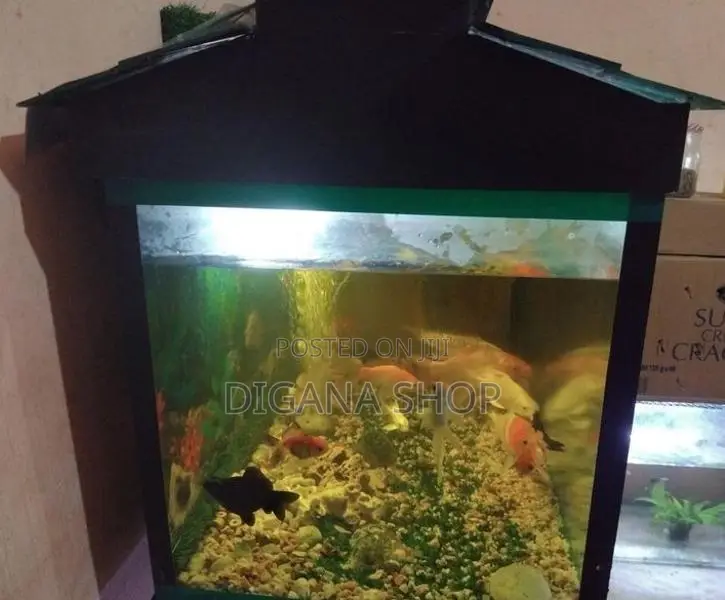 Fish Tank