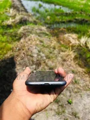 Apple iPhone 11 (Used)