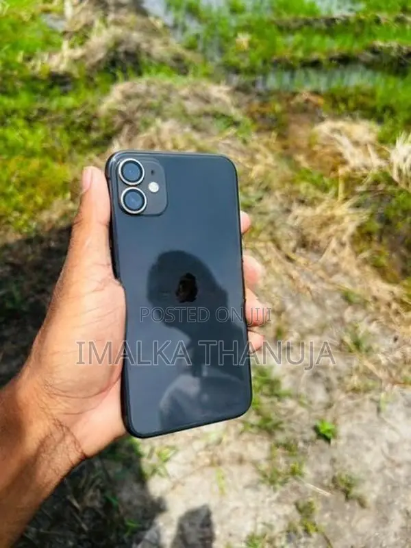 Apple iPhone 11 (Used)